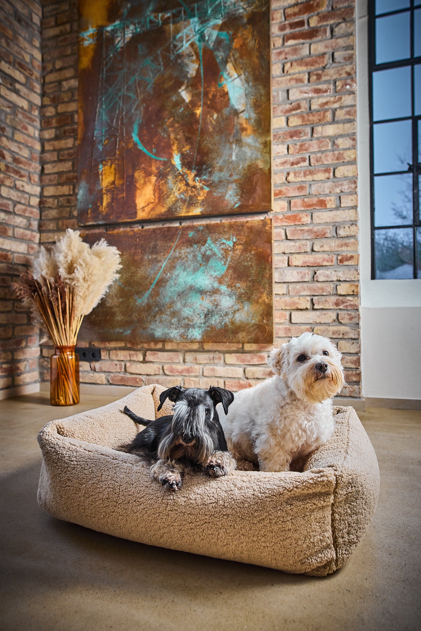 LABONI_Polsterbett_Teddy_beige_M_05