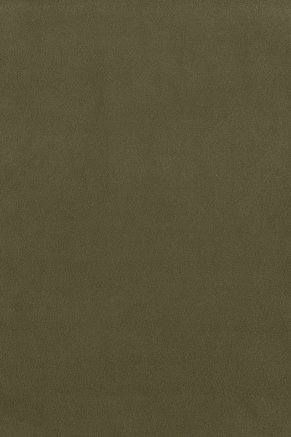 Laboni_Oxford_olive_1