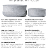 Rocky-Flyer-2