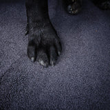 TEDDY_GREY